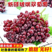 新鲜葡萄新疆玻璃脆5火焰无核翠甜无籽红提子当季水果冷链4斤