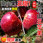 大凉山丑苹果10斤冰糖心苹果新鲜水果当季孕妇即食四川红富士