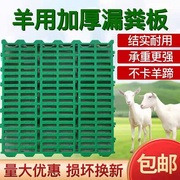 羊床粪漏板羊舍加厚塑料接粪板羊圈养羊专用产床漏粪板养殖场设备