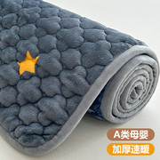 A类珊瑚牛奶绒床垫软垫家用睡垫抗菌加绒垫被毛毯单人铺床的褥子