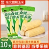 正宗东北白糯玉米真空包装新甜玉米粘新鲜现摘黏玉米棒苞米白甜
