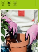 BerryBird花园手套插花园艺防刺防玫瑰花刺花手套英国bb园艺工具