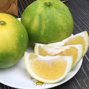 福建翡翠葡萄柚大果5斤装应季水果台湾品种黄金葡萄柚新鲜西柚