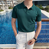夏季韩版男士轻奢V领针织短袖Polo衫型男纯色时尚翻冰丝领半袖T恤