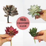 仿真多肉植物宝石莲植绒，观音莲壁挂墙壁挂，室内家居装饰品摆件盆栽