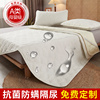 纯棉抗菌防螨床垫防水隔尿透气垫子家用双人防滑薄款软垫褥子铺底