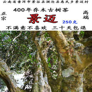 云南景迈茶普洱茶400年乔木古树茶纯料生茶散茶春茶产地正宗