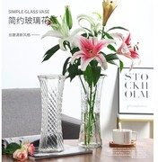 玻璃花瓶透明水养富贵竹，百合花瓶摆件客厅，插花干花北欧家用特大号