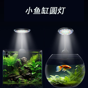 水族水草小鱼缸灯夹灯led草缸爆藻灯照明灯微景碟型圆形usb节能灯