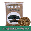 日本进口硬质赤玉土三本，线整袋大包装多肉铺面盆景植物营养土