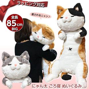 日本正版SHIBA橘猫公仔猫咪老师毛绒玩具床上懒人抱枕男女生礼物