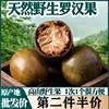 野生罗汉果干果泡茶桂林，特产广西永福，罗汗果茶散装特级