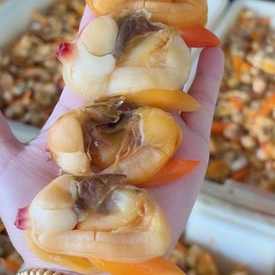 丹东特产半干大黄蚬子文贝大号即食海鲜熟食水产贝类零食