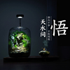 丘辰青苔藓微景观生态瓶，养鱼diy植物造景观办公室内桌面绿植摆件