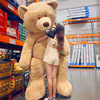 正版美国泰迪熊大熊，玩偶超大号毛绒，玩具抱抱熊布娃娃公仔生日礼物
