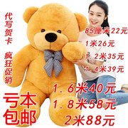 毛绒玩具泰迪熊猫布娃娃抱枕，公仔女生1.8抱抱熊，2米1.6大熊超大号d