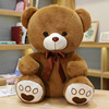 毛绒玩具大熊公仔特大号超大布娃娃女生日礼物，抱抱熊泰迪熊猫超软