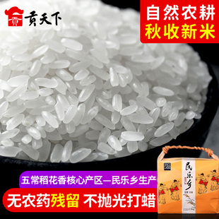 玖品东北民乐乡五常稻花香2号大米，2.5kg长粒粳米，东北大米当季新米