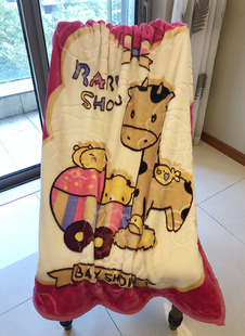 双层加厚儿童毯子 拉舍尔毛毯 幼儿园宝宝婴儿盖毯抱毯