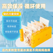 vcoool储奶袋蓝冰存奶母乳保鲜冷藏上班背奶专用保温冰盒冰袋便携