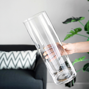 北欧简约透明花瓶插花摆件玻璃水养水培富贵竹马醉木特大号玻璃瓶