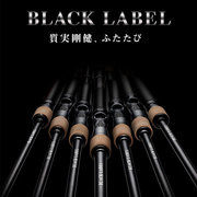 DAIWA达亿瓦日版黑标BLACKLABEL SG路亚竿直柄柄达瓦钓竿