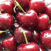 国产天水大樱桃红灯新鲜水果，车厘子2斤应季水果孕妇整箱