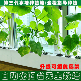 水培蔬菜种植箱无土栽培设备家庭阳台种菜神器多层水耕机组合花盆