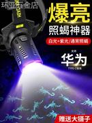适用于照蝎子专用灯，充电头戴式手电筒超亮户外大功率，强光紫光超长