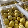 四川安岳黄柠檬(黄柠檬)新鲜水果，皮薄当季整箱精百香果，青金桔青柠檬特产