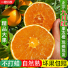 正宗九月红果冻橙秭归脐橙大果橙子当季新鲜水果产地直发10斤