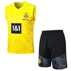 2324多特球衣多特蒙德背心，足球训练服套装d912#footballjersey