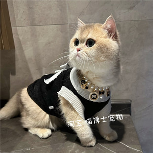 狗狗猫咪背心吊带小香风连衣裙泰迪约克夏衣服蕾丝T恤雪纺防掉毛