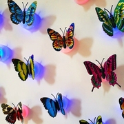 七彩发光蝴蝶小夜灯LED闪发光装饰墙贴蝴蝶夜市货源儿童玩具