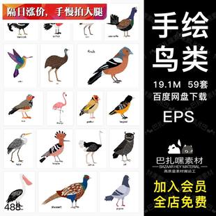 59种鸟类猫头鹰火烈鸟老鹰，手绘插画t恤图案印刷eps矢量素材