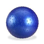 大龙球感统儿童训练健身球，按摩瑜伽球加厚防爆触觉花生宝宝颗