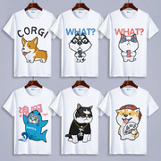 哈士奇t恤猫咪柴犬图案，二哈潮牌卡通可爱夏季半袖，男女情侣装短袖