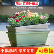 阳台种菜盆长方形花盆塑料长条花盆种菜盆种花霍伦盆：果绿色(2个