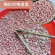 珍珠花生贵州铜仁特产珍珠小颗粒花生米农家2023新鲜小粒生花生米