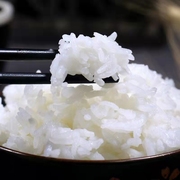 黑龙江农家自产自销长粒香大米新米凉饭不回生10斤