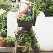 麦芽森林 行走的花架阳台轻便四层实木花架置物架室内茶室梯子架