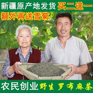 罗布麻茶250g送一原产地新疆正宗野生新芽嫩叶平利降养生