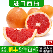 新鲜西柚 1只装 红心葡萄柚柚子 当季时令水果