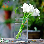 透明玻璃花瓶方口约创意大号富贵竹水培花瓶花器客厅欧式摆件