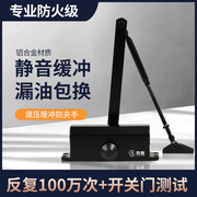 闭门器家用液压缓冲自动关门神器，防火门室外商用铁免打孔门弹簧