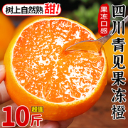 四川青见果冻橙9斤新鲜当季水果橙子整箱38号爱丑柑媛耙耙橘桔子