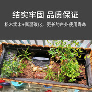 黄缘龟生态养殖箱半水龟专用饲养箱环境植物土造景台安缘闭壳龟缸