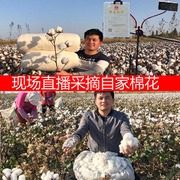 新疆棉被8斤棉花被手工纯棉被芯棉絮床垫褥子保暖厚被子冬被全棉