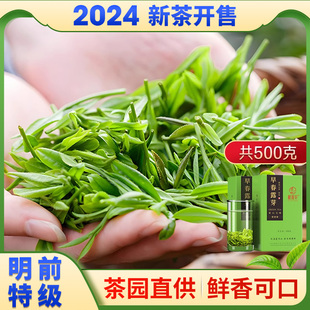 绿茶2024年新茶明前特级高山毛峰毛尖茶叶赋雅轩四川雅安蒙顶山茶