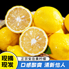 四川安岳黄柠檬新鲜水果当季皮薄香水柠檬现摘